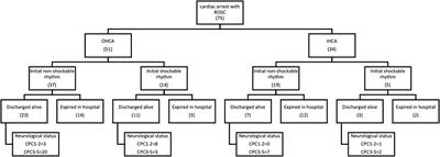 Preserved Electroencephalogram Power and Global Synchronization Predict Better Neurological Outcome in Sudden Cardiac Arrest Survivors